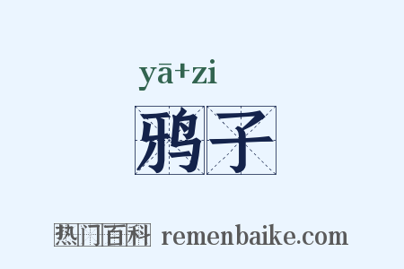 鸦子是什么意思的图片